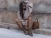 woman sitting on pathway during daytime